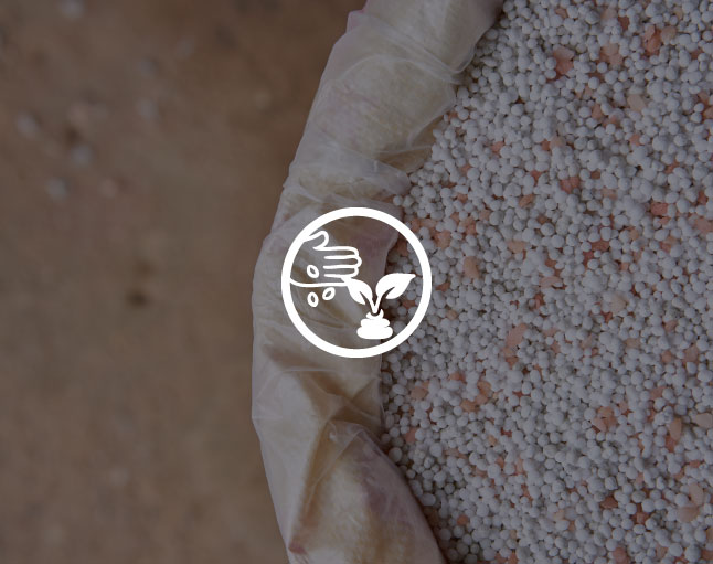 FERTILIZANTES